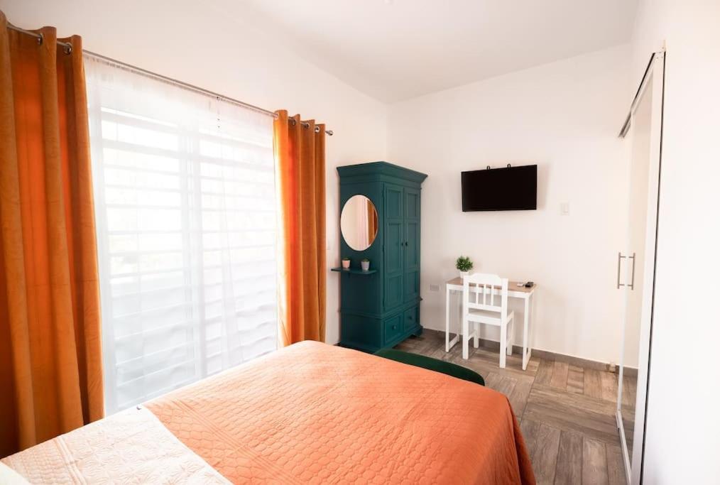 New Apt Super Cozy & Pet Friendly Close To Marina #3 La Paz Exteriér fotografie